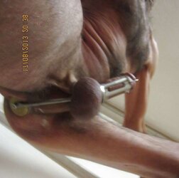 Fresh pecker instructing