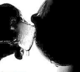 TB-bevy anguish or passion VI