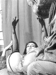 TB-bevy anguish or passion VI