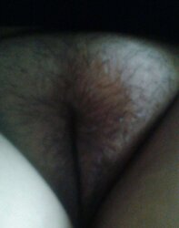 Images Received (Fotos Recebidas)