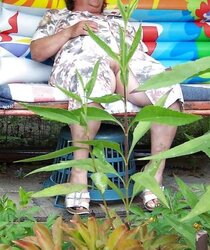 Ich versuche meinen Gartennachbar aufzugeilen