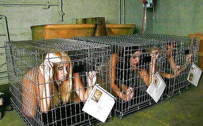 Restrain Bondage Stunners two+