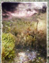 Wanderers of Middle-Earth