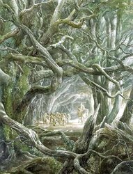 Wanderers of Middle-Earth