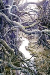 Wanderers of Middle-Earth