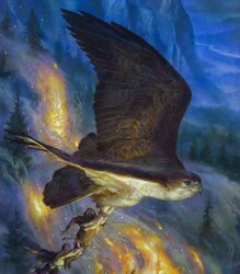 Wanderers of Middle-Earth
