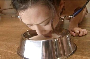 Not hoist the muzzle of the plate!!