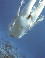 Damsels-n-Wasser