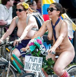 Remarkable Bicycle Honeys by TROC