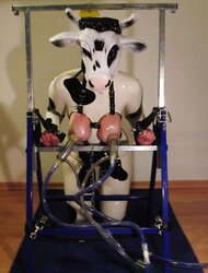 Milk,milk,milk!!!( human cow)