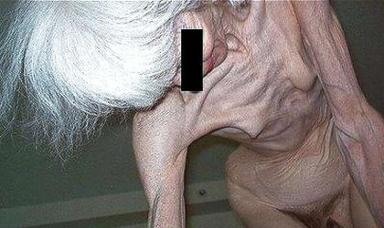 ENORMOUSLY LEAN AND HIGHLY OLD WOOLY GRANNY