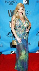 Taylor Wane-Ideal Porn Industry Star