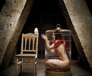 Decadence and elegance