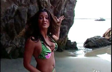 Various WWE Divas - Divas Summer Flesh Vidcaps