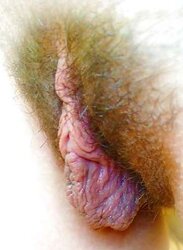 Magic honeypot and arses