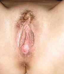Nut-Juice Creampie Fuckbox