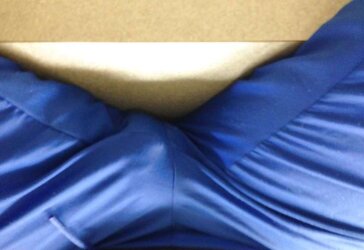 Ebony Bulge Watchers