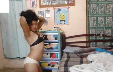 Fledgling latina