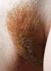 Fabulous Redheads