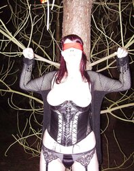 Tramp in the forest
