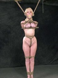 Taut orb restrain bondage (purple edition)