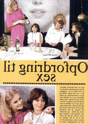 Vintage Magazines Delight of Copenhagen- Danish