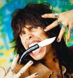 Me and aerosmith