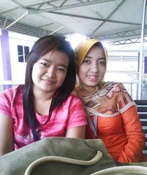 Hijab Asian Indo Femmes