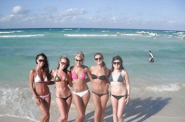 Boobies female + Pals