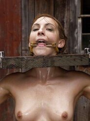Stocks and Pillories