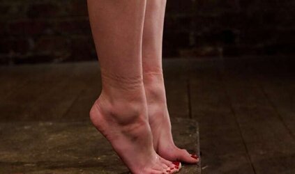 Blend of Elise Graves