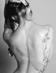 Backs fetching...
