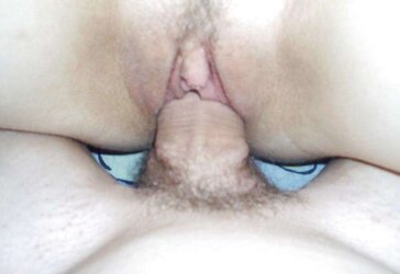 Exhib Amateurs
