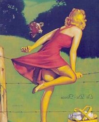 Classic Pinups