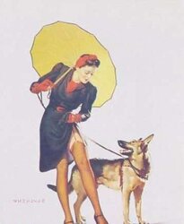 Classic Pinups