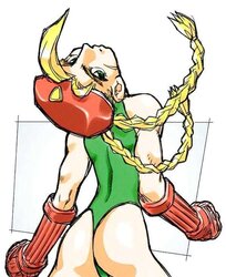 Street fighter Cammy
