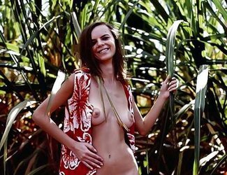 Vintage 16 (1970-1980)