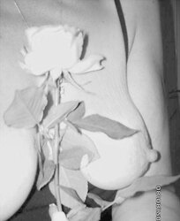 Suzie and the rose