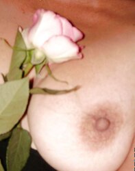 Suzie and the rose