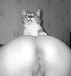 So bunda Gostosa - fabulous rump