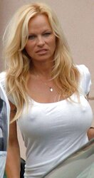 I Like Titts Puffies Cameltoes and prominent Persons