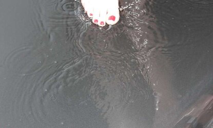 Wifes GORGEOUS shower humid soles sole crimson toes