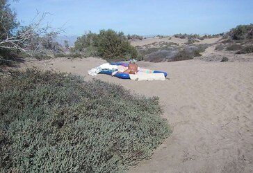 Morbo en Dunas de Maspalomas