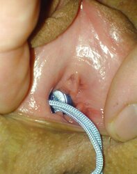Saftige Muschi