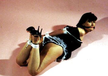 SADISM & MASOCHISM TANYA FOXX
