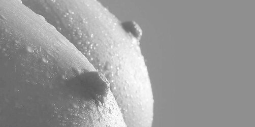 Erotic Gallery
