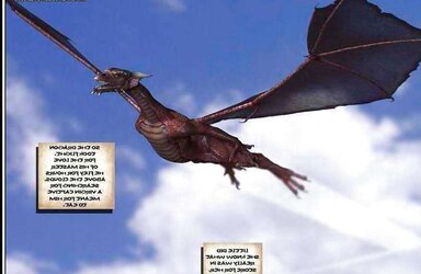 3d pictures (the vet of the dragon rider)