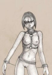 Hentai Kitty crafts remarkable arm drawn BONDAGE & DISCIPLINE artworks