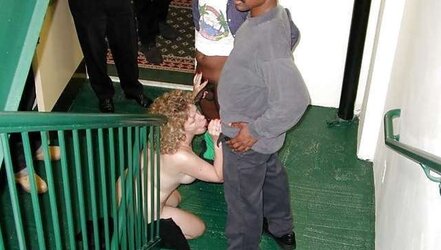 Breezies who hanker BIG BLACK COCK