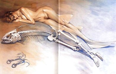 Venus clamp-ups (Hajime Soroyama